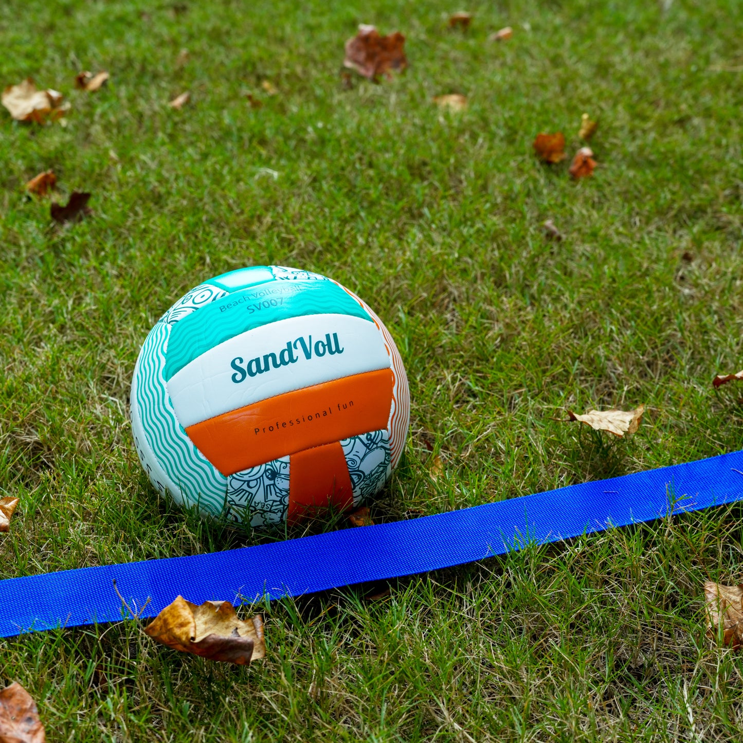 beach volleyball ball on grass